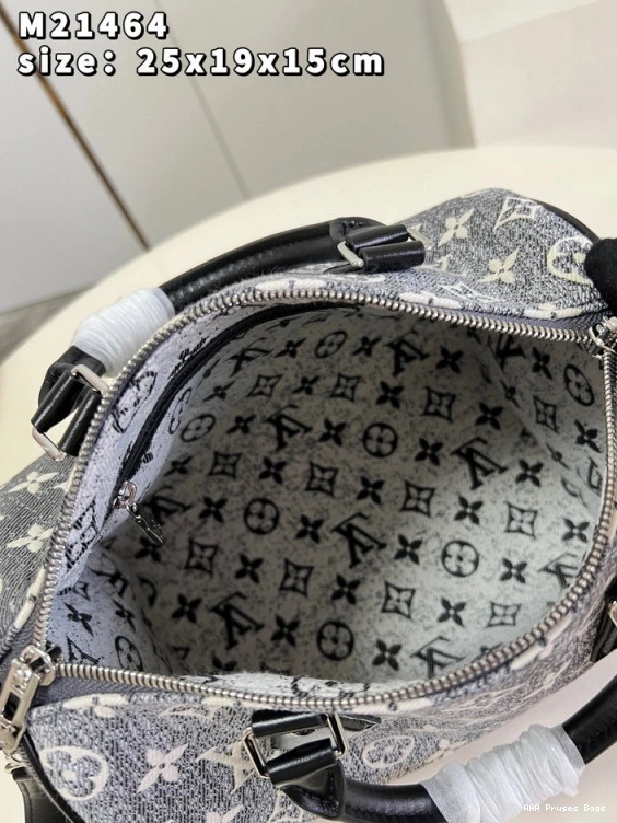 AAA Replica Ru BANDOULIÈRE LOUIS VUITTON 25 SPEEDY 0824